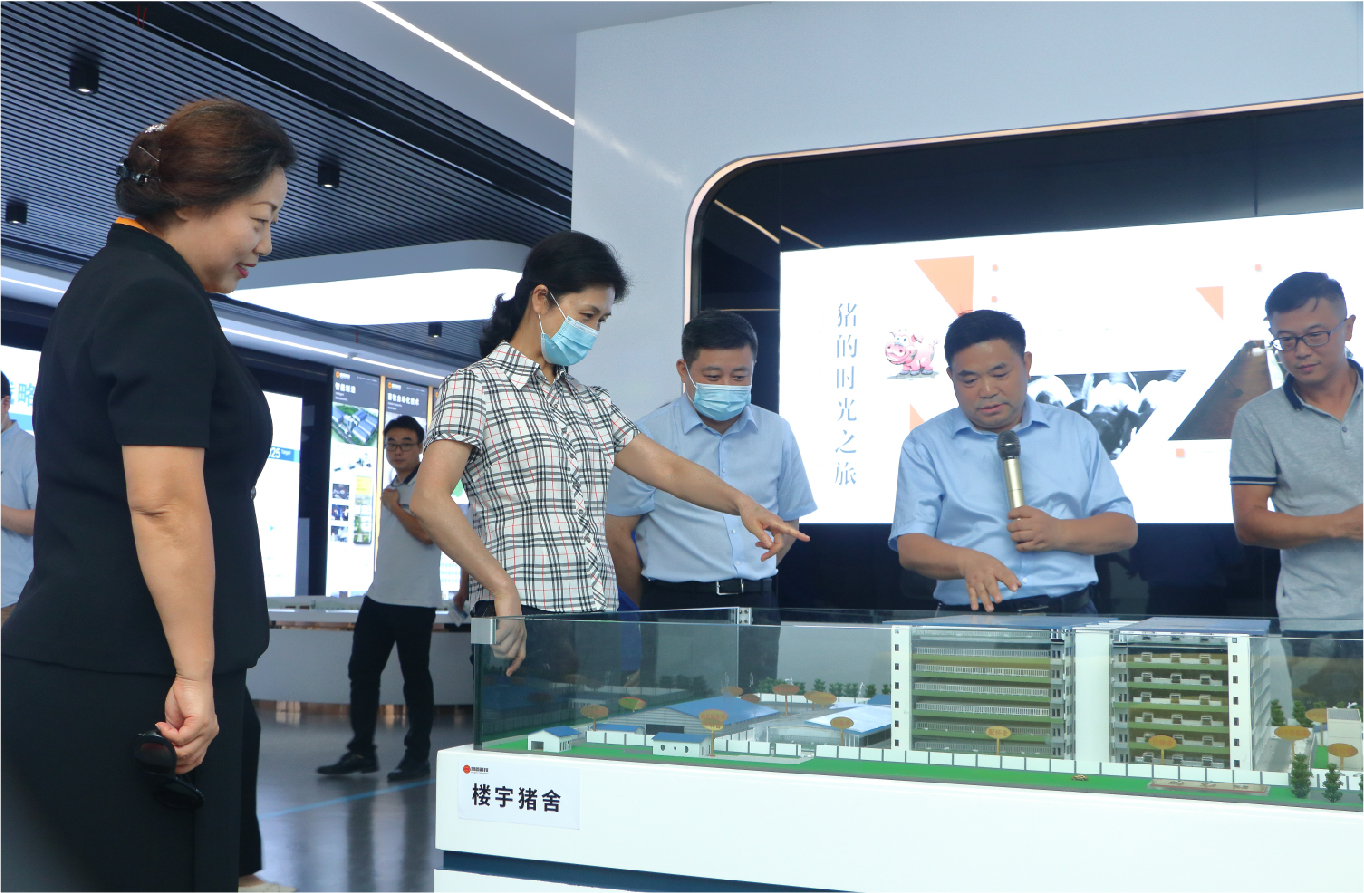 江西省政協(xié)副主席謝茹蒞臨增鑫調(diào)研